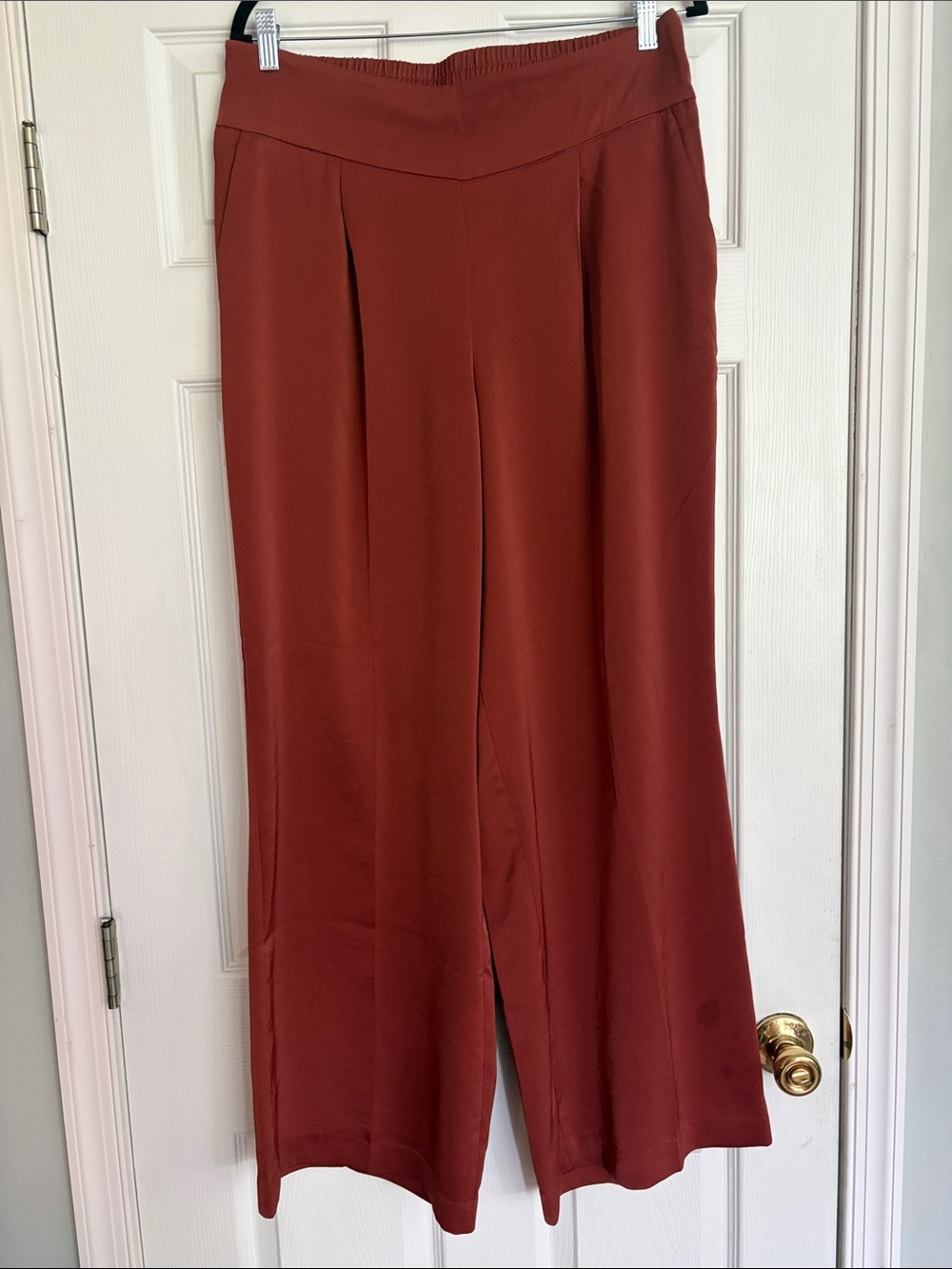 Express Women’s Wide Leg Women's Pants in Deep Rust